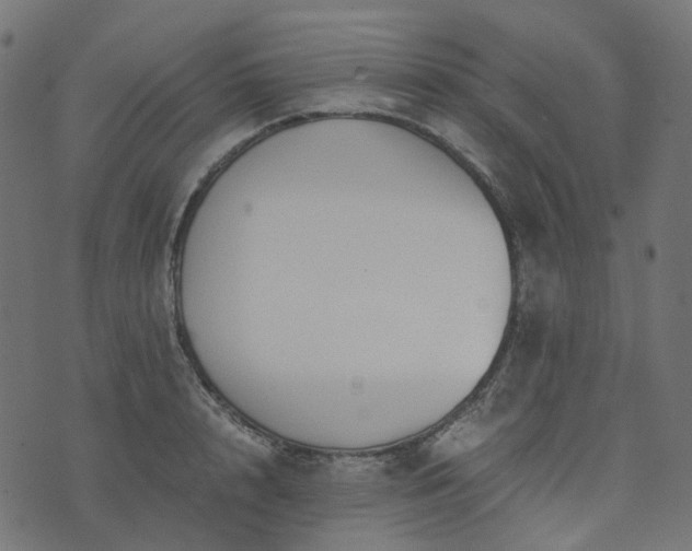 X0000073920848200608181047