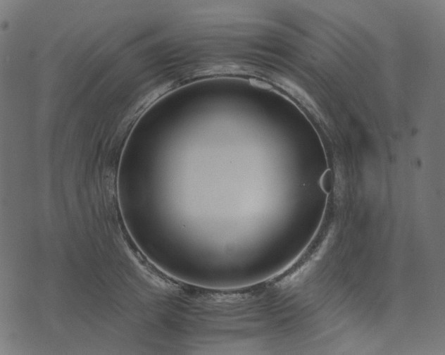 X0000073920849200608181047