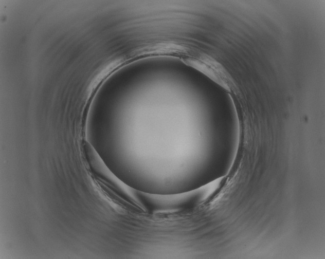 X0000073920850200608181047