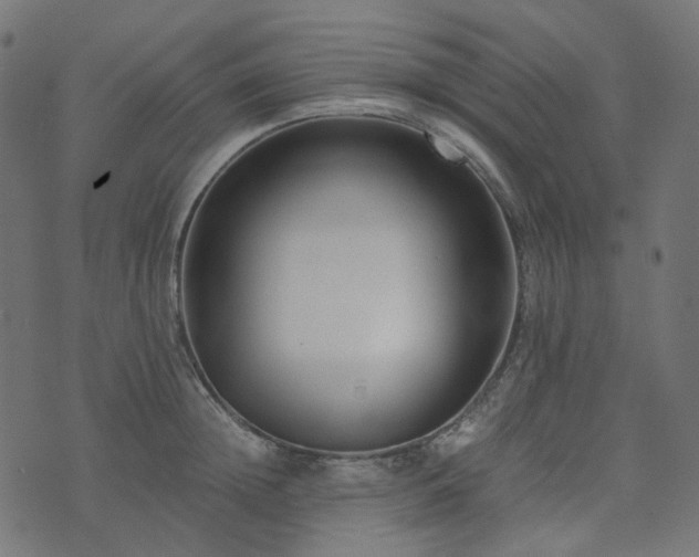 X0000073920852200608181047