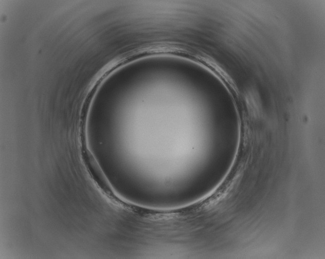 X0000073920853200608181047