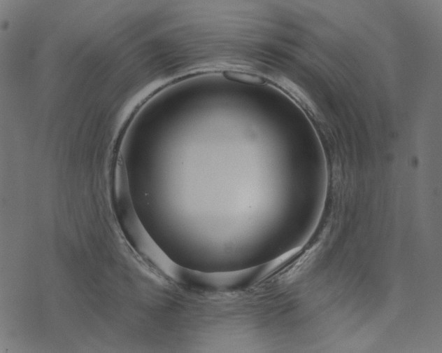 X0000073920854200608181047