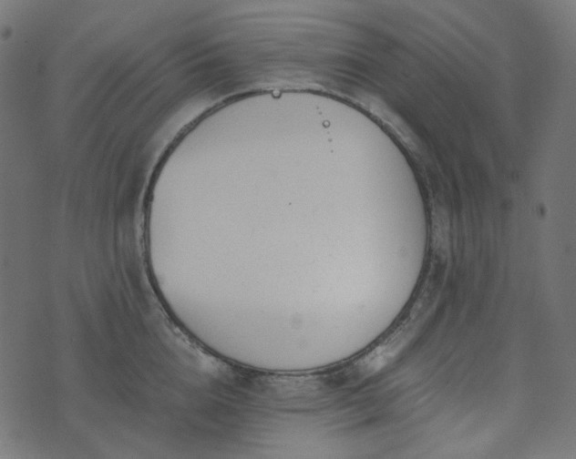 X0000073920856200608181047