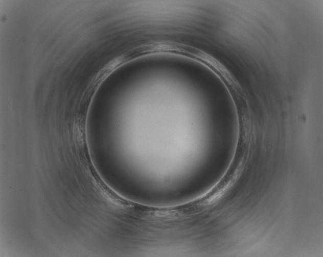 X0000073920857200608181047