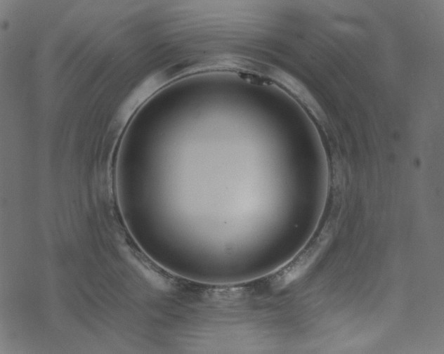 X0000073920858200608181047