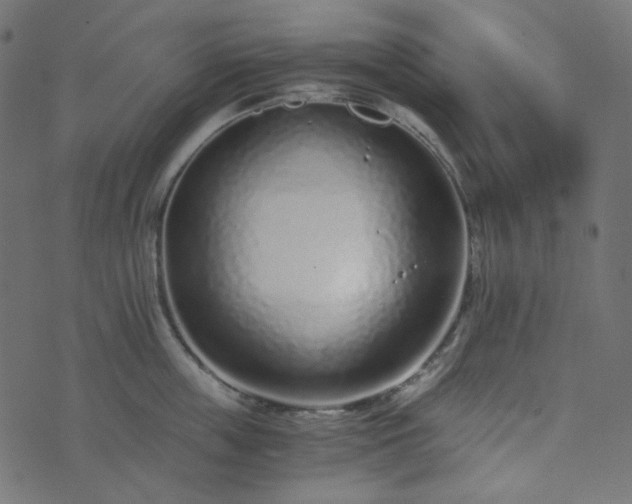 X0000073920859200608181047