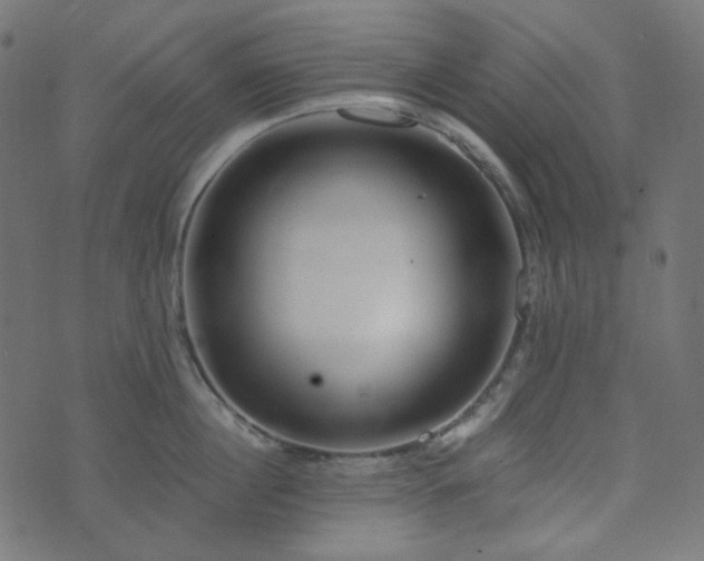 X0000073920860200608181047