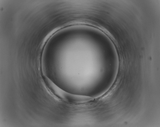 X0000073920862200608181047