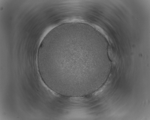 X0000073920863200608181047