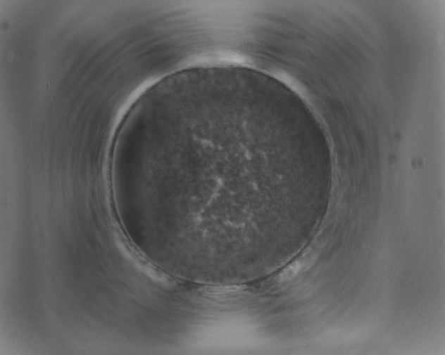 X0000073920864200608181047