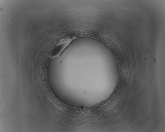 X0000073920865200608181047