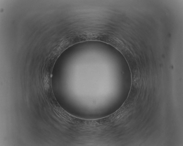 X0000073920866200608181047