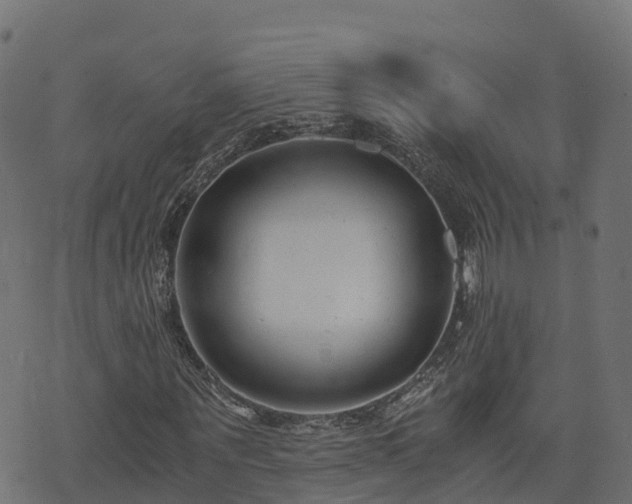 X0000073920867200608181047