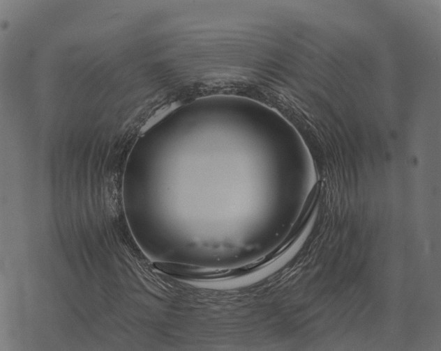 X0000073920868200608181047