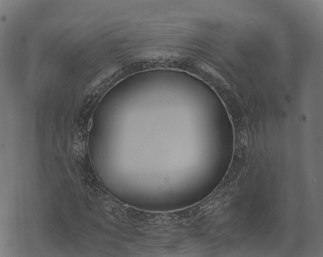 X0000073920869200608181047