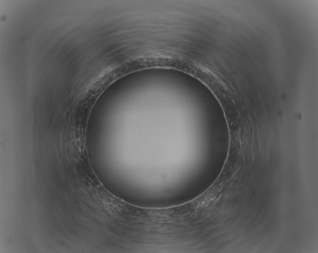 X0000073920870200608181046