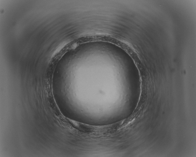 X0000073920871200608181046