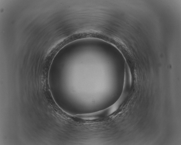 X0000073920872200608181046