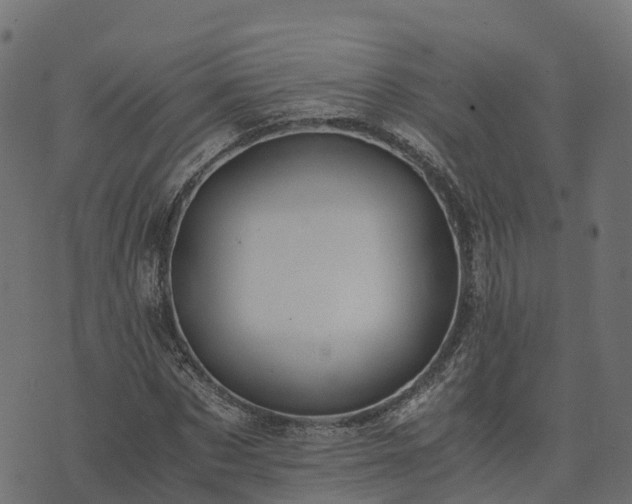 X0000073920873200608181046