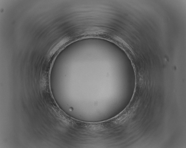 X0000073920874200608181046