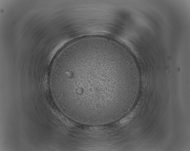 X0000073920875200608181046