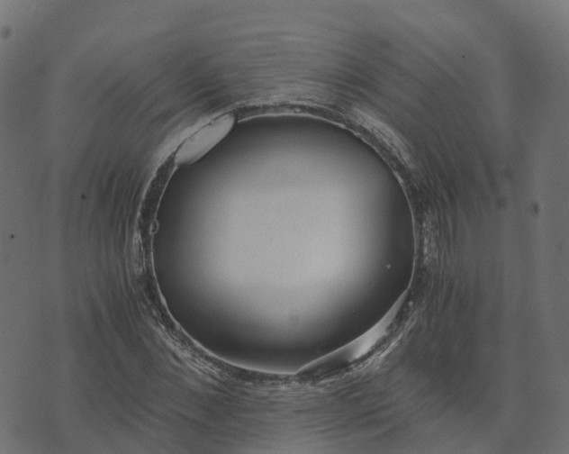 X0000073920876200608181046