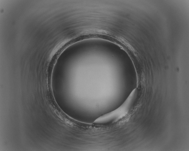 X0000073920877200608181046