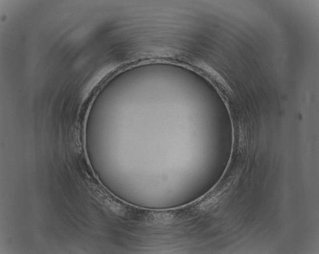 X0000073920878200608181046