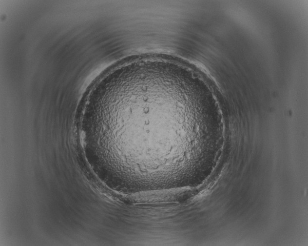 X0000073920879200608181046