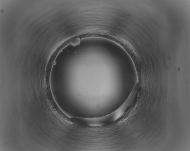 X0000073920880200608181046