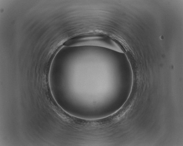 X0000073920881200608181046