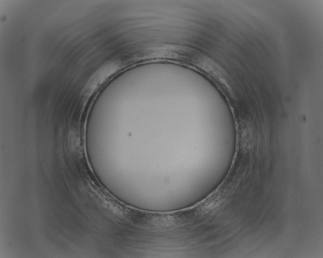 X0000073920882200608181046