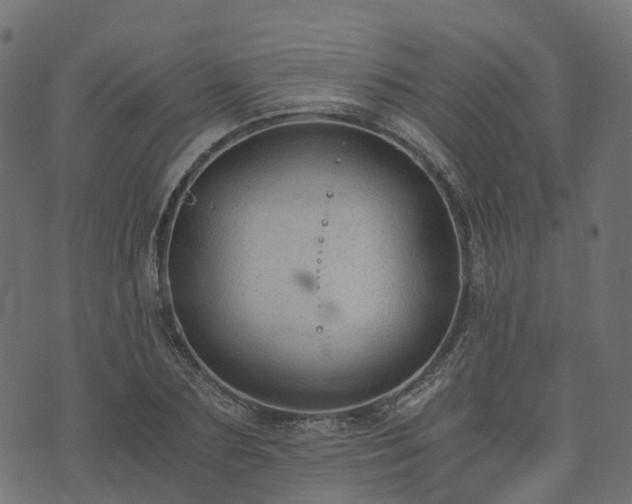 X0000073920883200608181046