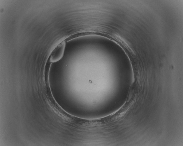 X0000073920884200608181046