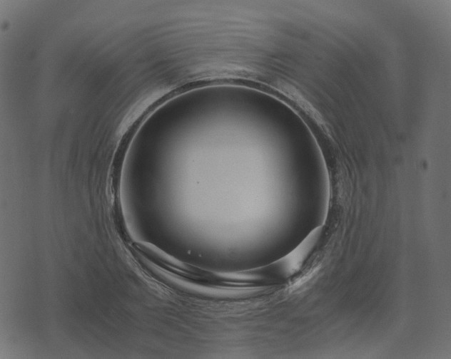 X0000073920885200608181046