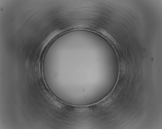 X0000073920886200608181046