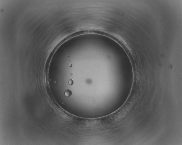 X0000073920887200608181046