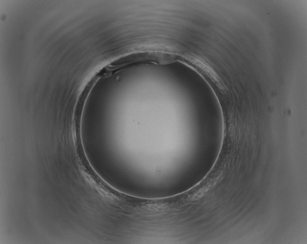 X0000073920888200608181046