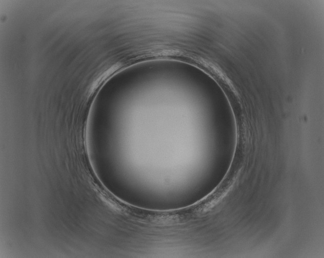 X0000073920889200608181046