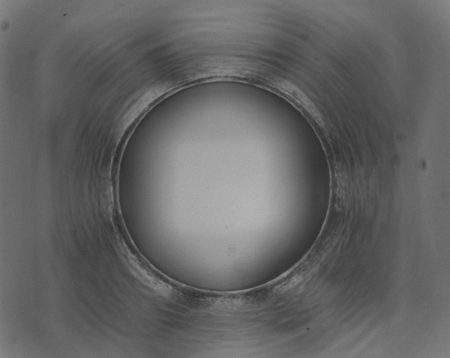 X0000073920890200608181046