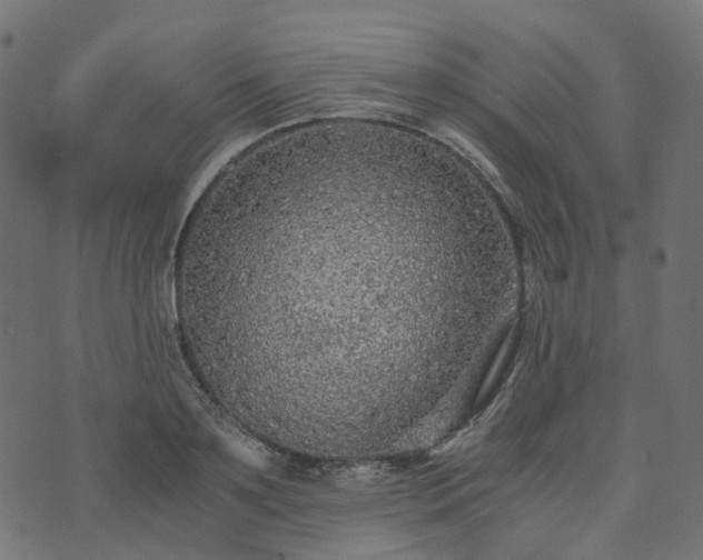 X0000073920891200608181046