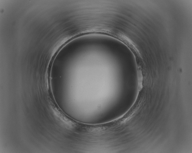 X0000073920892200608181046