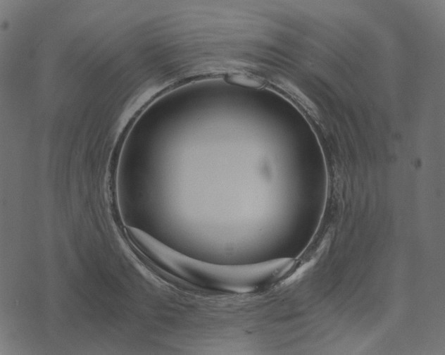 X0000073920893200608181046