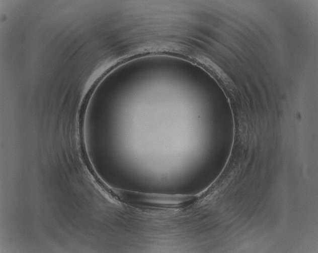 X0000073920894200608181046