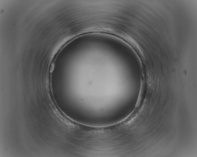 X0000073920896200608181046