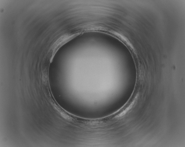 X0000073920897200608181046