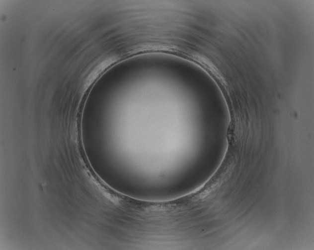 X0000073920898200608181046