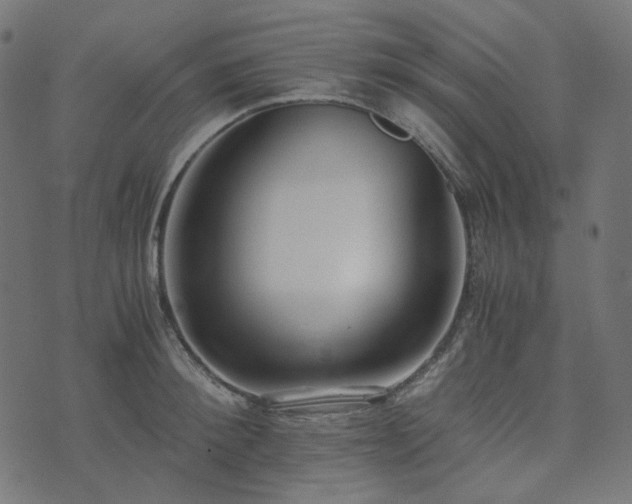 X0000073920900200608181046