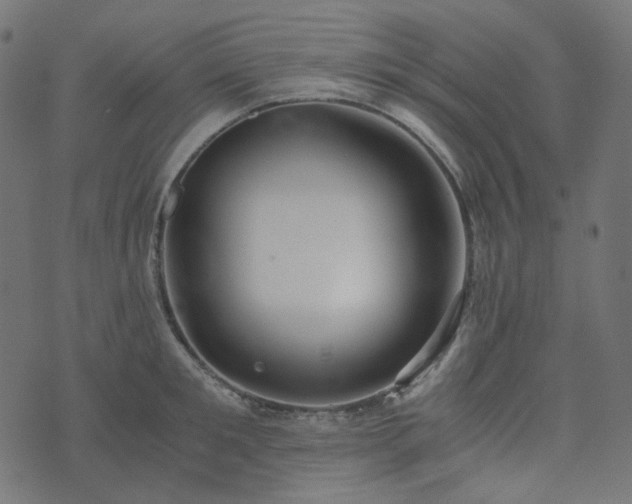 X0000073920901200608181046