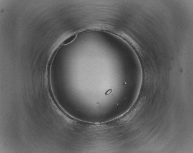 X0000073920902200608181046